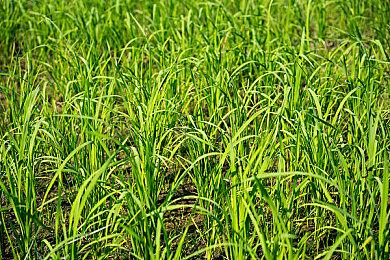 抑郁少年解谜游戏《To Leave》9月登陆主机平台