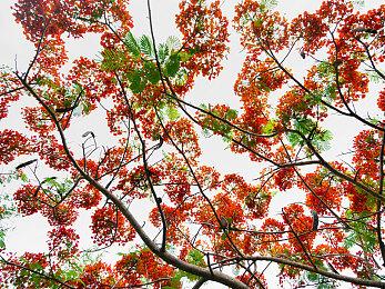 xbox金会员周末免费游戏公布 《黑道圣徒：重启版》等